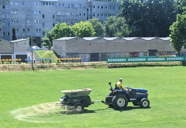 renowacja balladyny001